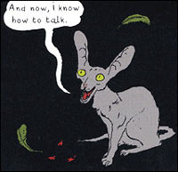 cat_talk200-6c909fbaaf4cc253bf9c95623c03630fb06149a7-s400-c85