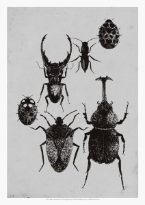 KKCN11-PRT006-102_I-Love-Bugs