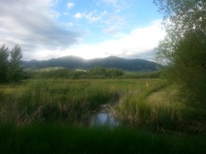 062316 Bozeman (1)