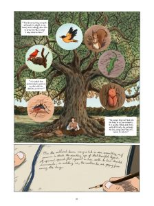 AUDUBON_Inside_61-764x1024